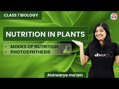 Nutrition in Plants - L1 | Photosynthesis | Class 7 CBSE | Chapter 1