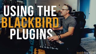 Using The Blackbird Plugins On A Track