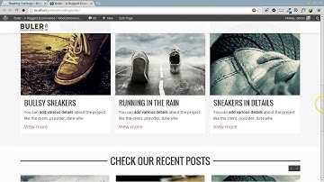 Buler Woocommerce Theme - Import Demo Data & Settings