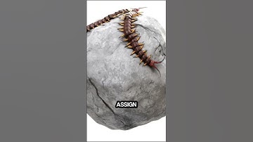 Simulate Insect Swarms in Blender | Insect Swarm