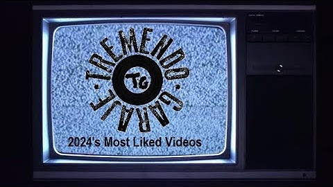 TREMENDO GARAJE - "2024: A Punk Year" (Followers