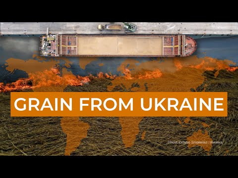 Ukrainian grain: its role and influence on the world. Ukraine in Flames #275