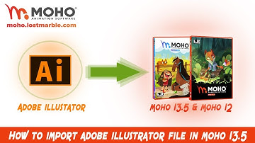 How to import Adobe illustrator file in Moho Pro 13.5