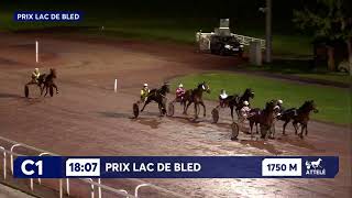 Vidéo de la course PMU PRIX LAC DE BLED