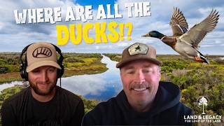 Are Duck Migrations Really Changing? - Scott Hicks
