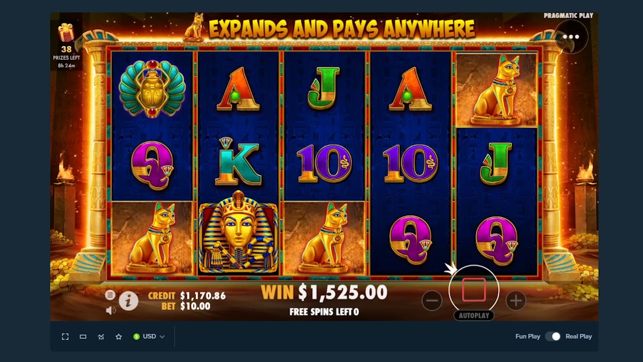 Big Wins on HIGH STAKES John Hunter and the Book of Tut