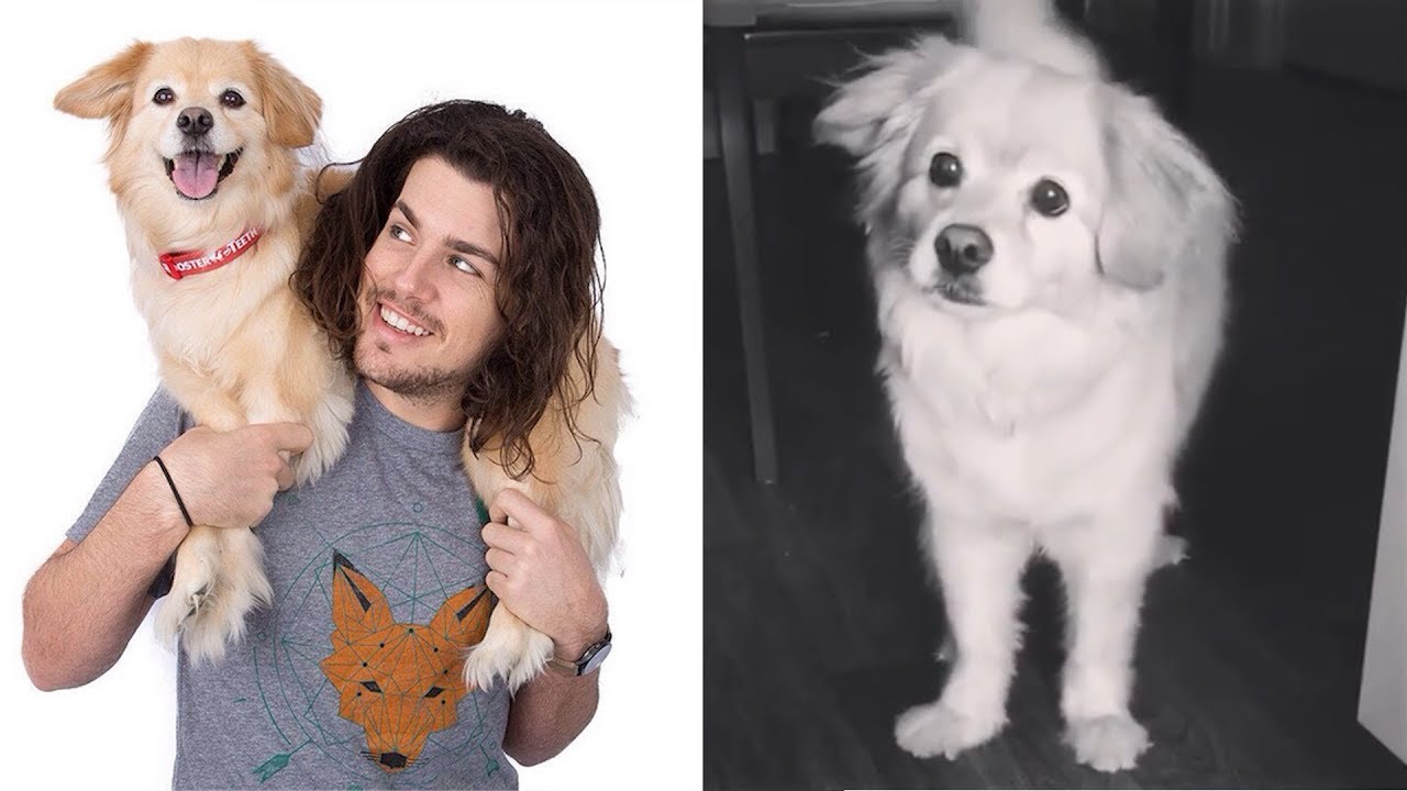 camera iphone 8 plus apk In memory of Jon Risinger's Bella