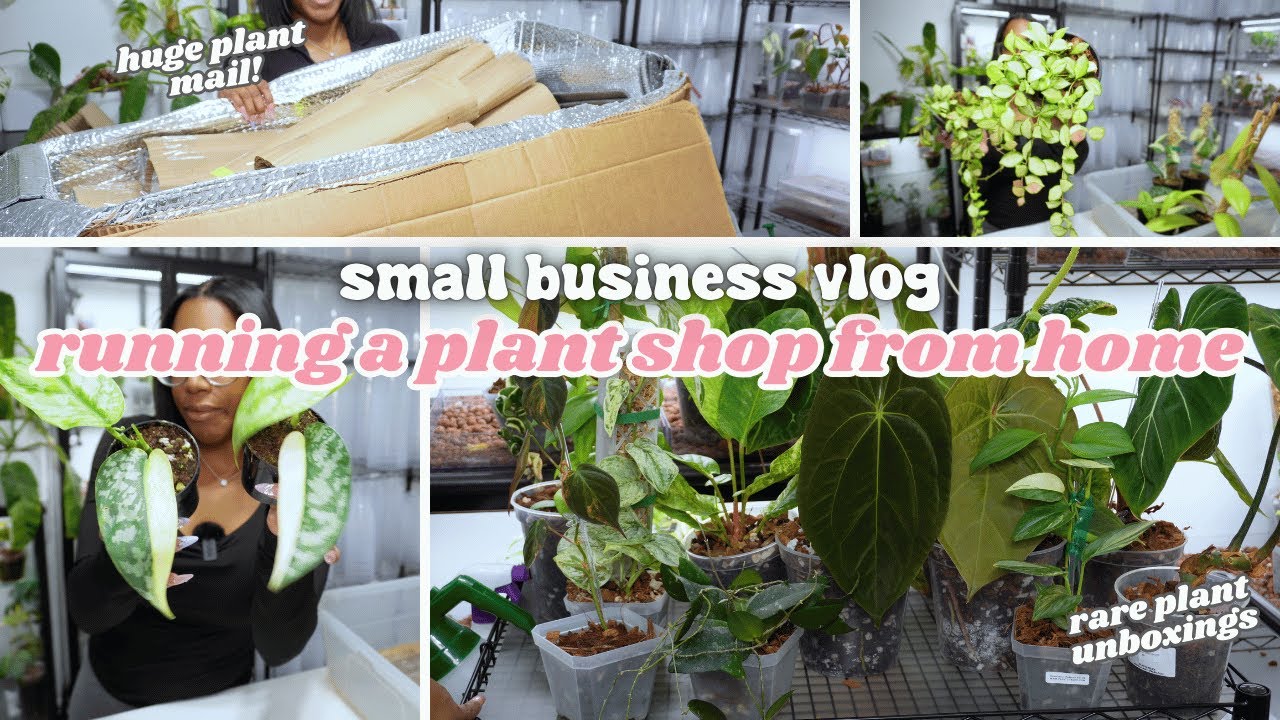 Rare Plant Unboxing &  Spring Shop Restock Prep| Plant Selling Business From Home Vlog