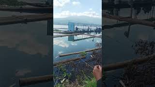 waduk darma spot mancing andalan #mancing