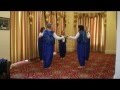 Israeli Folk Dance Teaching DVD - Dancing the Hora and more!