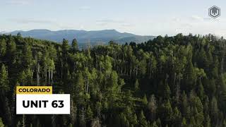 Hunt Unit 63 | Colorado