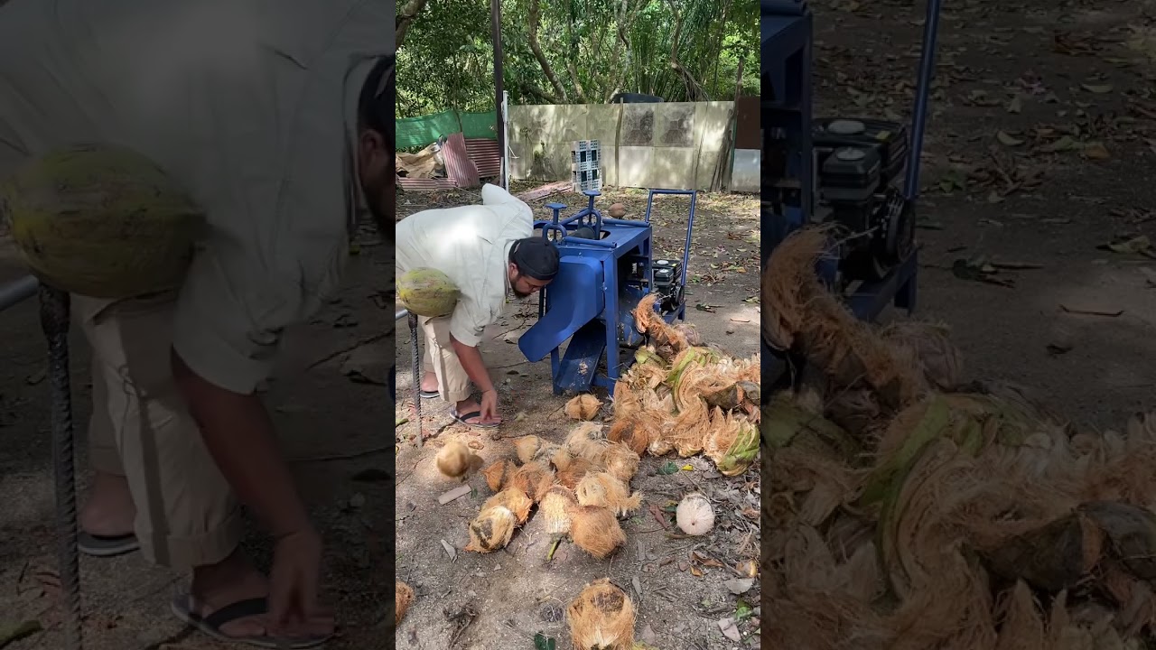 Mesin Kupas kelapa