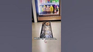 What a Rat #viral #fypシ #fyp #youtubeshorts #trap #video