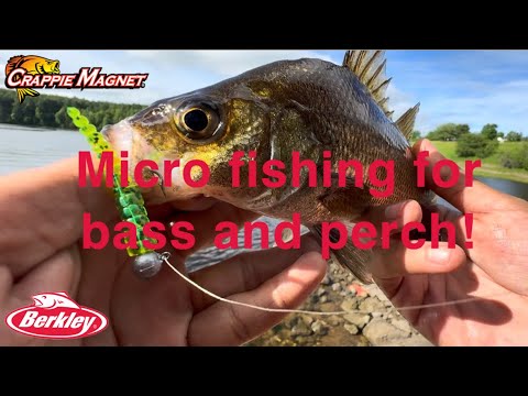 Micro fishing for bass n perch using crappie magnet and Berkleys minnotator ! #newbrunswick