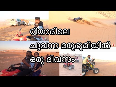 Red Sand Dunes