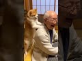 肩叩きする猫さん（Made with generative AI）