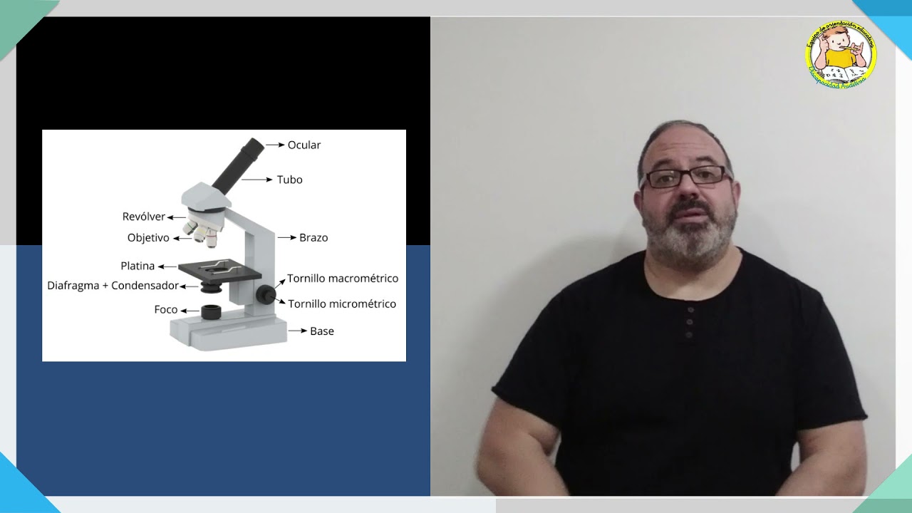 Tornillo macrométrico de microscopio (LSE) YouTube
