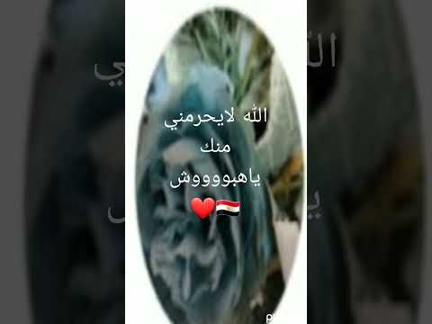 مش شبه الناس دي بحاجه ولا فاهمين منهم حاجه