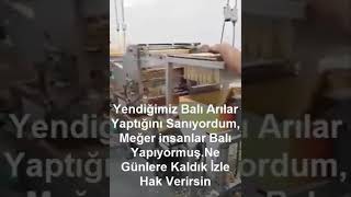 Yediğimiz balı arıların yaptığını sanıyordum dikkatle izleyiniz