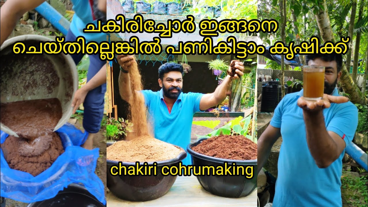 ചകിരിച്ചോറ് തയ്യാറാക്കാൻ ഇത്ര എളുപ്പമായിരുന്നോ Chakiri choru making in | Prs kitchen krishi Compost🌱