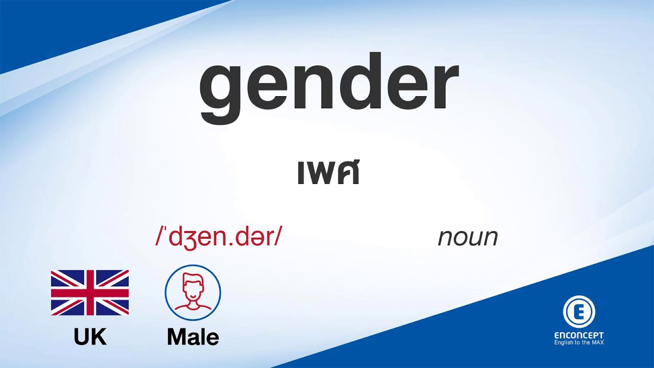 gender ออกเสียงว่า แปลว่า อะไร แปลภาษาอังกฤษเป็นไทย By ENCONCEPT Dictionary