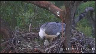 Wbse One Last Peek At Se18 8616