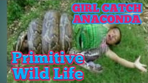 Primitive Wild Life Girl Catch Anaconda