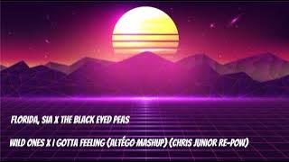 Florida, Sia X The Black Eyed Peas - Wild Ones X I Gotta Feeling (Altégo Mashup-Chris Junior Re-Pow)