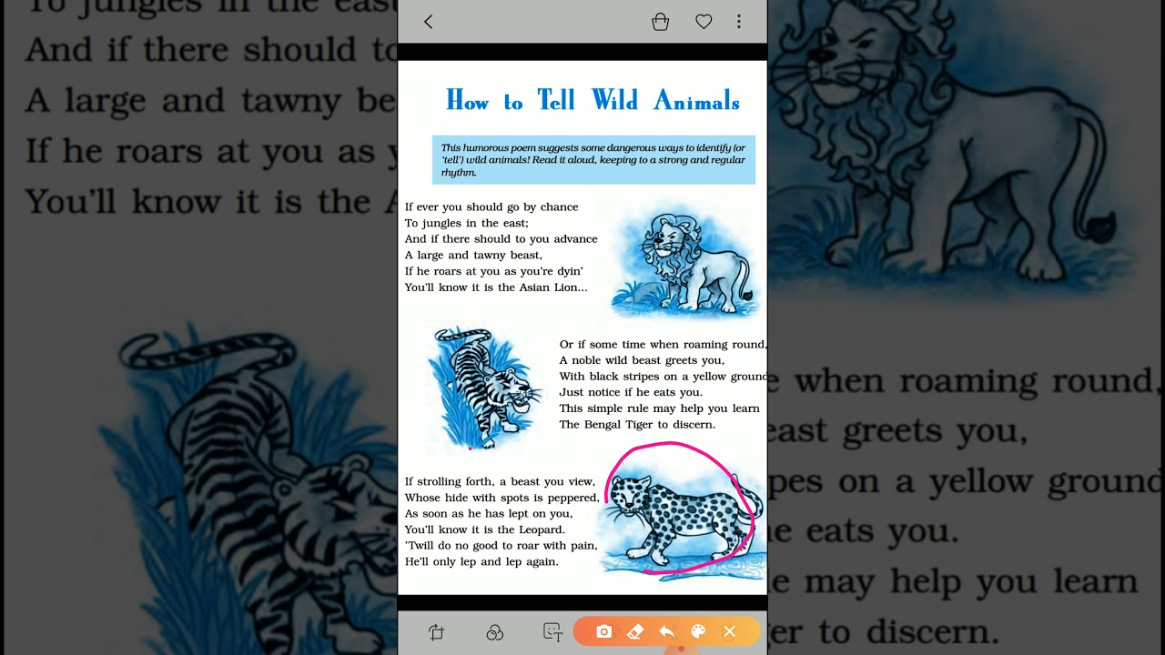 How to tell wild animals - YouTube