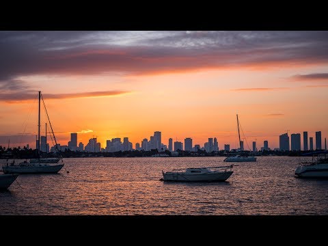 Videó: A legjobb pizzahelyek Miamiban