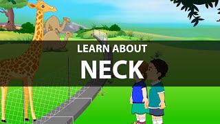 iDaa Preschool Video- NECK