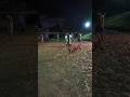 খেলাটা বন্ধ করতে হলো