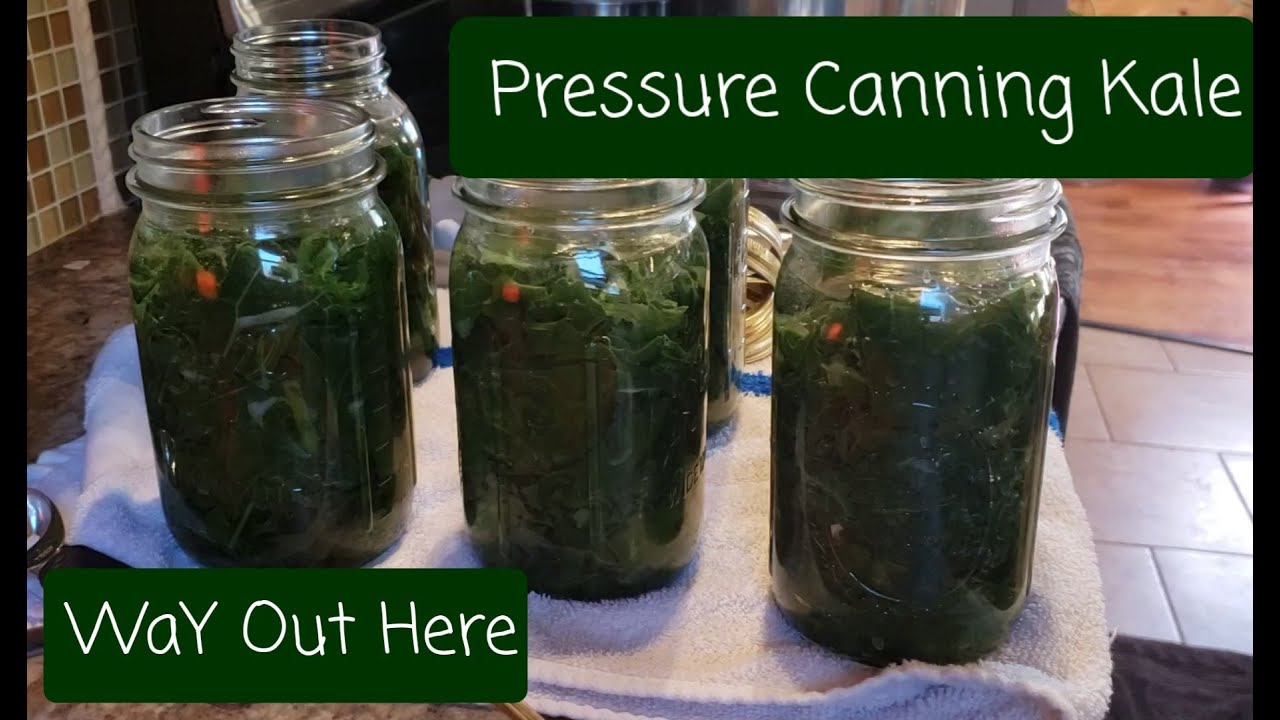 Pressure Canning Kale WaY Out Here YouTube