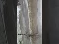 Snow #trending #shorts #snow #funny