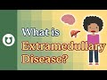 What is extramedullary disease