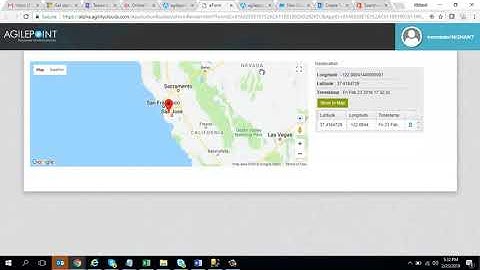 Form Based Applications - Creating Customized Widgets and Portlets