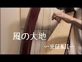 【光GENJI】の【風の大地】をハープで弾いてみた