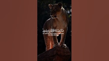 ( هذا خلق الله )" القارئ اسلام مختار "ما تيسر من سورة لقمان