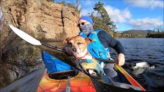 Kayaking Derwent River Best 40 captured Images From Trip 955 26/ 6 /25 Kayaking Derwent River Best 40 captured Images From Trip 955 26/ 6 /25