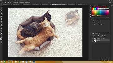 Lesson 19  Flatten Image Merge Down & Merge Visible Stamping