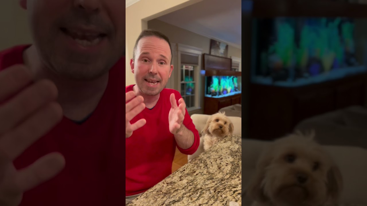 Ozone Sucks & ResMed Philips Respironics Fisher & Paykel & FDA Never Endorsed! Free Hoses! 