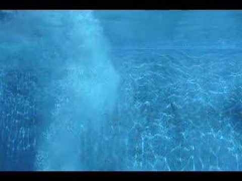 The Elements: Air/Water, Part 1:  video by Joel Meyerowitz