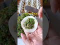 家庭版包饺子详细手法 皮薄馅大 | 美食中国 Tasty China