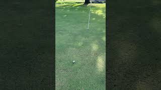 A birdie is a birdie 🐦 #golf #golfdomgolf #golfswing #viral #pga #golfshot