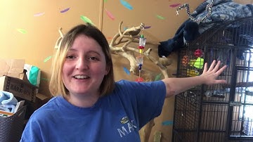 Sample Source Box. Free Samples