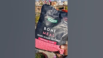 Organic Fertiliser || Bone Meal Powder For Plants 🪴 #trending #terracegarden #viralvideo #shorts