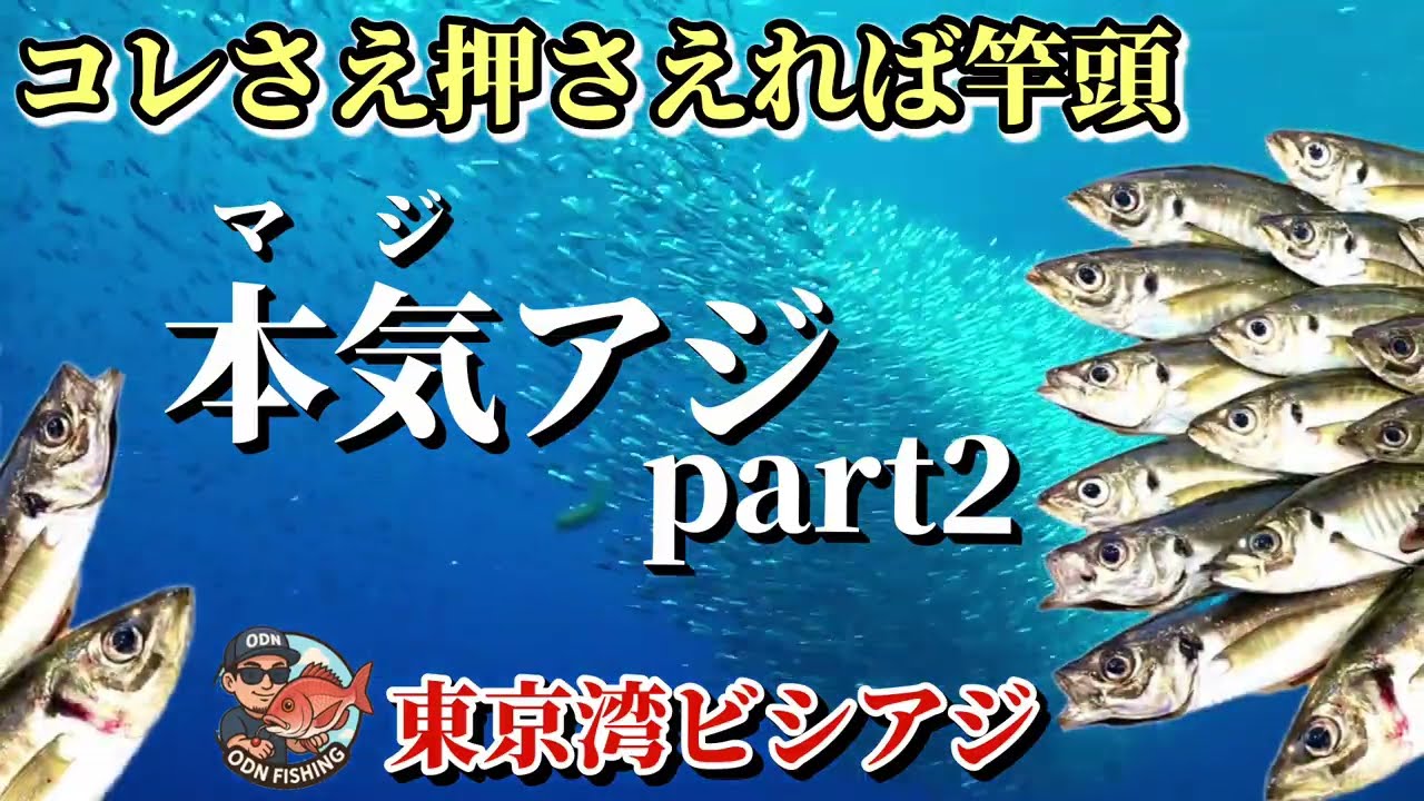 【ビシアジ】竿頭になるコツ｜東京湾マジアジpart2