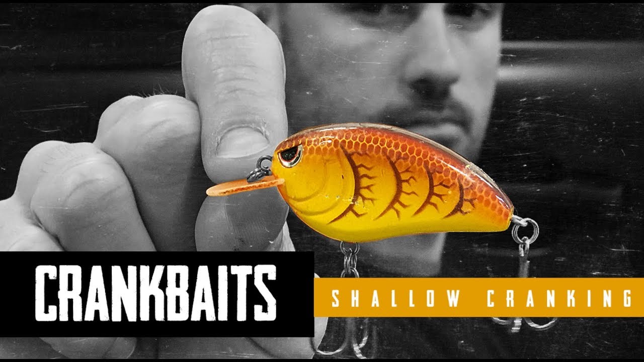 How To Shallow Crank - Bass Basics - John Crews 