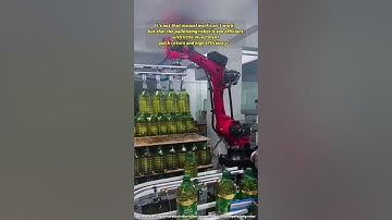 Borunte palletizing robot #borunte #factory #industrialrobot #intelligence #machinery #industrial