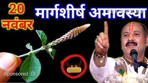 20 नवम्बर मार्गशीर्ष गुरुवार अमावस्या को तुलसी की सुखी लकड़ी वाला उपाय जरुर करे || Pradeep Ji Mishra